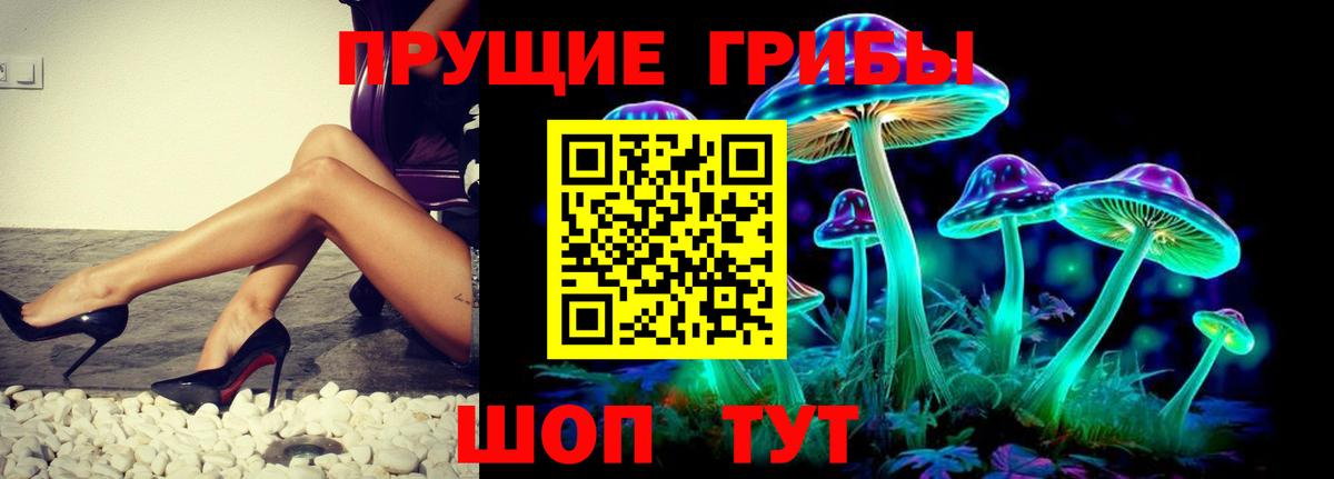 Псилоцибиновые грибы Psilocybine cubensis  Вход с VPN  Сорочинск  Псилоцибиновые грибы мицелий 